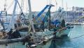 Piano di Azione per il miglioramento della pesca <br> del gambero bianco in Adriatico meridionale